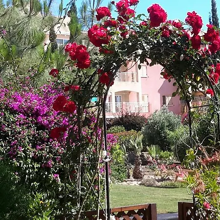Regina Apartment Paphos